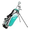 Ram Golf Junior G-Force Girls Golf Clubs Set With Bag, Right Hand -Ping Store 916dbf2f 4fe9 4779 a956 28b65b4cee17 55546.1678246050