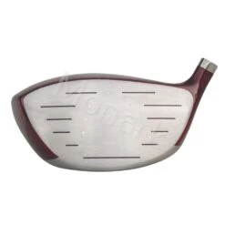 Integra Sooolong II Bi-Face Titanium Driver Head -Ping Store d 8641